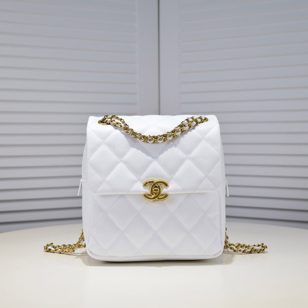 �V���l���o�b�O�R�s�[ CH2095[CH2095]