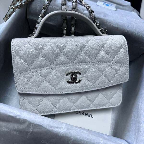 �V���l�� �o�b�O�R�s�[ AP4406[AP4406]